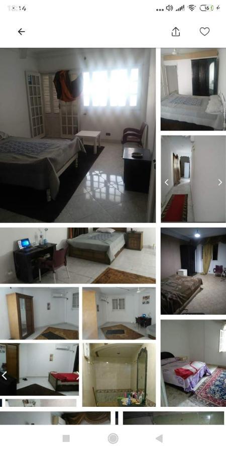 Homestay Female Center Cairo
